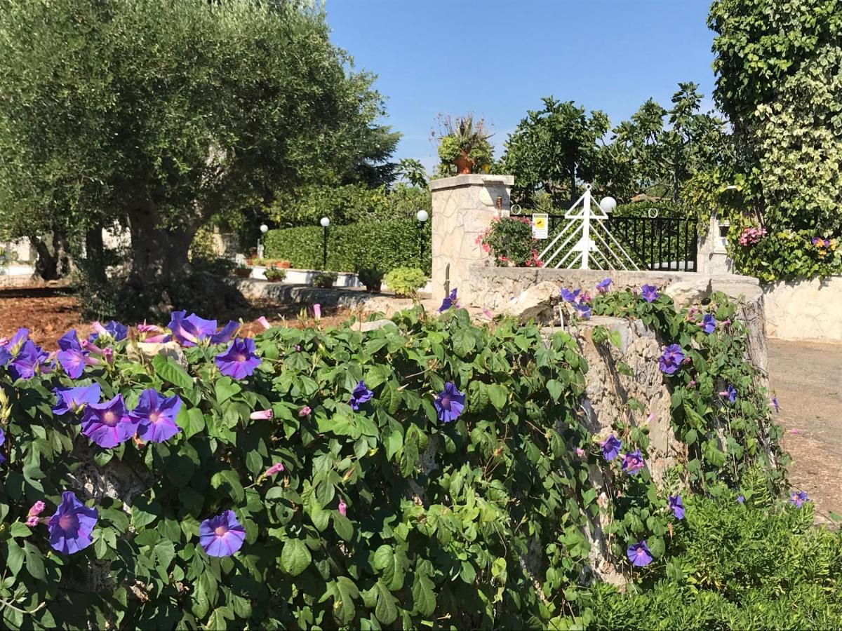 Il Trullo Di Nonno Angelo San Marco Hotel Locorotondo Exterior foto