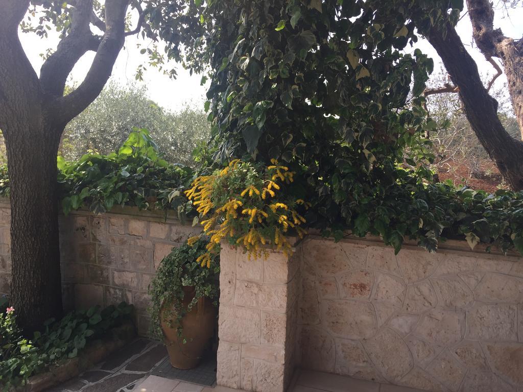 Il Trullo Di Nonno Angelo San Marco Hotel Locorotondo Exterior foto